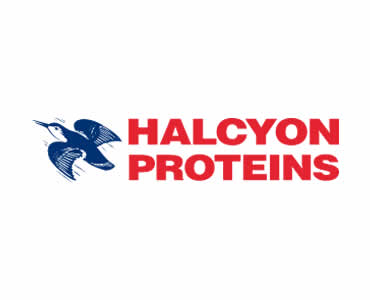 Logo design halcyon