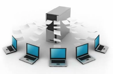 sql database programmer